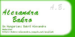 alexandra bakro business card